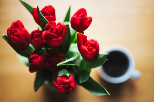 白色陶瓷杯旁边充满黑色液体的红色郁金香花束 · 免费素材图片