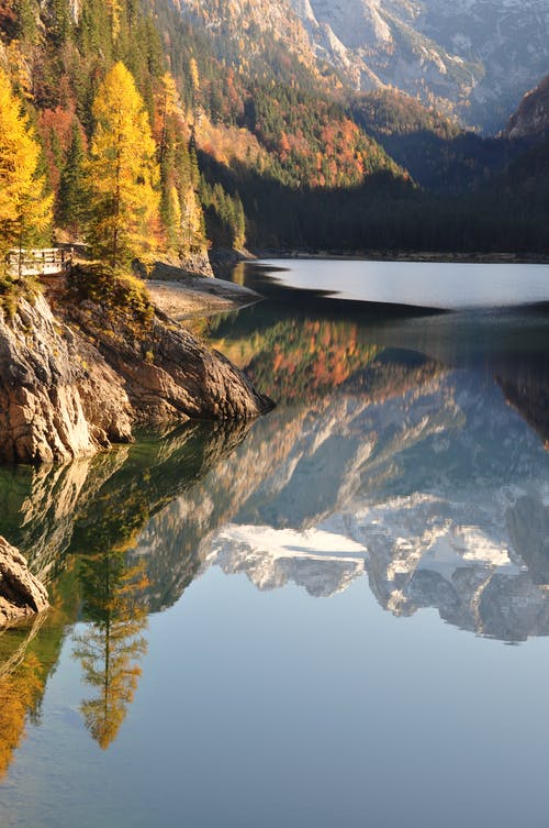 河边的悬崖上的树木 · 免费素材图片