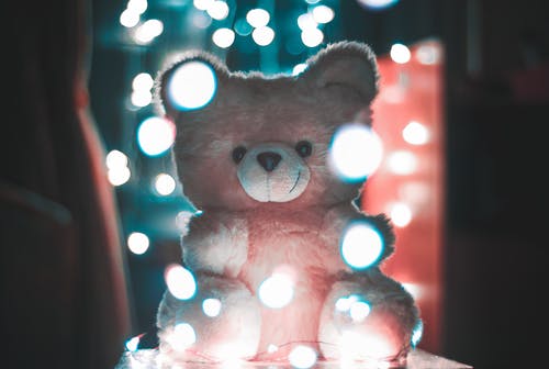 粉红熊毛绒玩具的散景摄影 · 免费素材图片