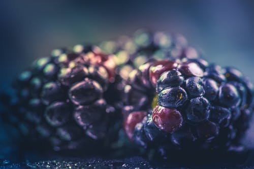 紫色水果的选择性聚焦摄影 · 免费素材图片