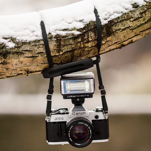 黑色和灰色佳能单反相机挂在棕色的树干与雪 · 免费素材图片