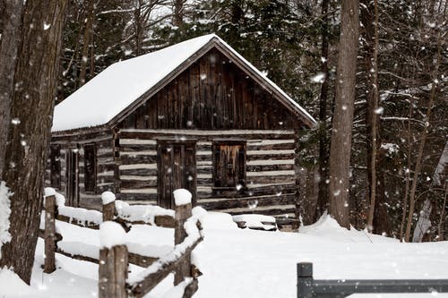 雪布朗房子附近树 · 免费素材图片