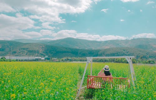 女人坐在黄色的花瓣花场上的棕色木制秋千板凳上 · 免费素材图片