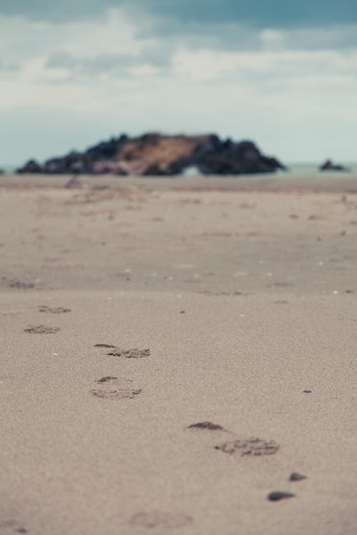 海滩海岸线的沙滩上的足迹 · 免费素材图片