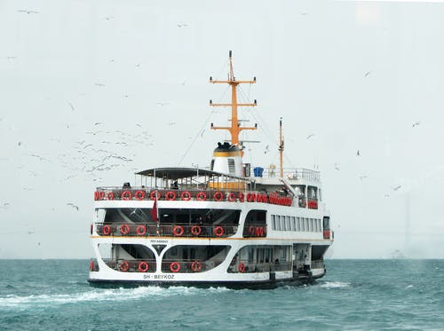 白色的船飞过巨大的水体与白色的小鸟在旁边飞 · 免费素材图片