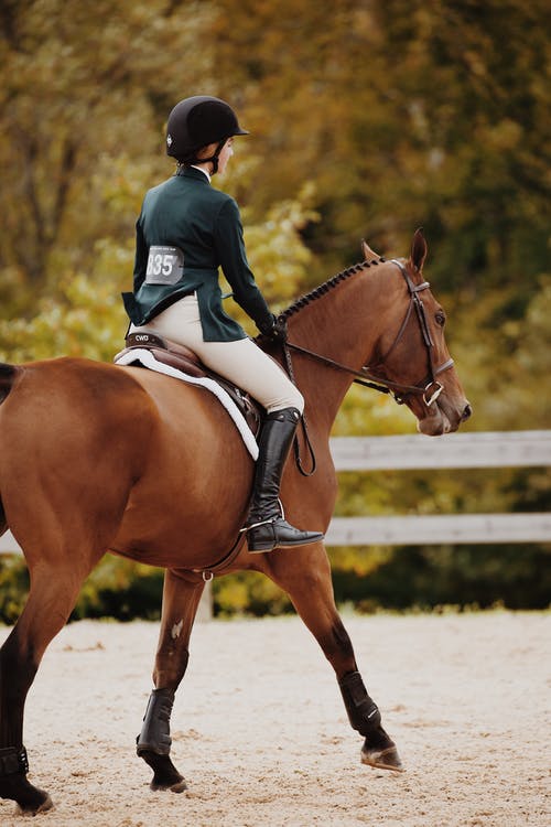 女子骑匹棕色的马的景深摄影 · 免费素材图片