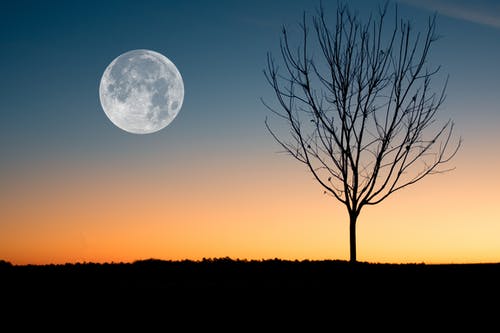 月亮在日落期间显示的插图 · 免费素材图片