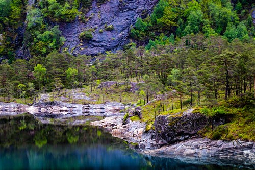 湖泊和树木的风景摄影 · 免费素材图片