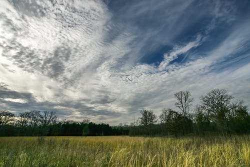 白天在蓝色和白色的天空下的绿草 · 免费素材图片