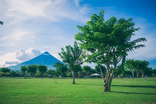 开阔的田野与马翁火山背景树摄影 · 免费素材图片
