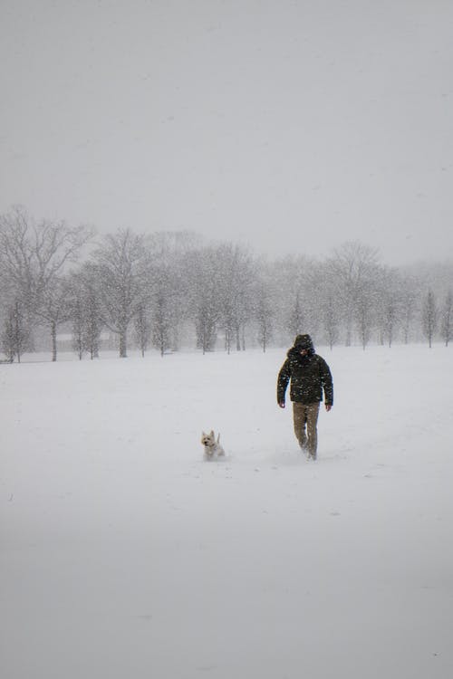 穿黑夹克和裤子在雪地上行走的人的照片 · 免费素材图片