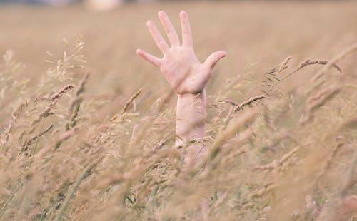 人的右手在外地的照片 · 免费素材图片