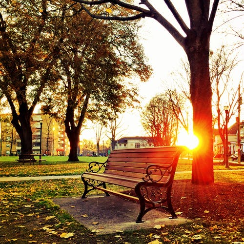 在日落时绿叶树下的棕色木制公园长椅 · 免费素材图片