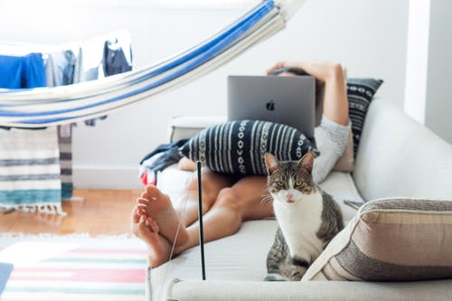 与猫躺在沙发上的人 · 免费素材图片