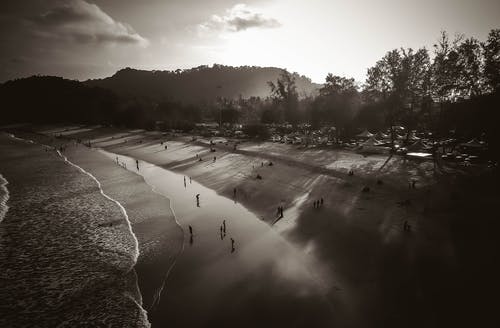 海滩上的人灰度照片 · 免费素材图片