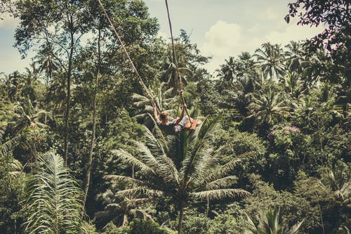 男子手持绳子在森林里 · 免费素材图片