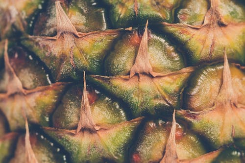 绿菠萝 · 免费素材图片