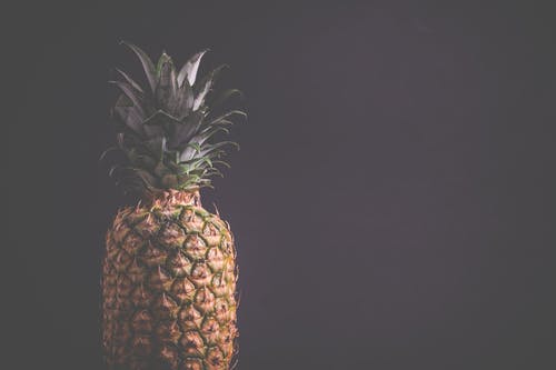 菠萝摄影 · 免费素材图片