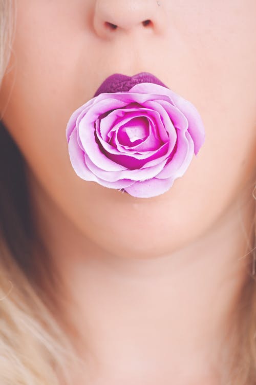 粉红色的花，在嘴里的女人 · 免费素材图片