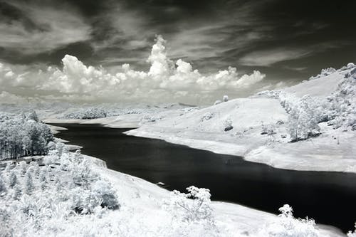 大雪覆盖的树木照片 · 免费素材图片