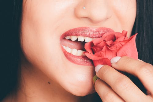 女人咬红玫瑰 · 免费素材图片