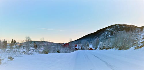 白天有雪和树木的山脉 · 免费素材图片
