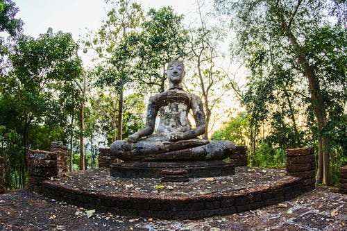 有关sri satchanalai国家公园, 低角度拍摄, 佛的免费素材图片