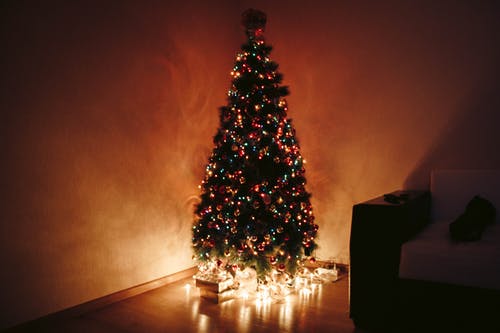 圣诞树在夜间的照片 · 免费素材图片