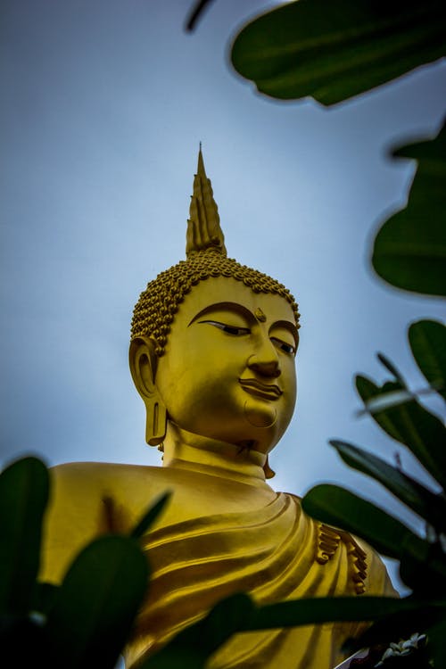 释迦牟尼佛像 · 免费素材图片