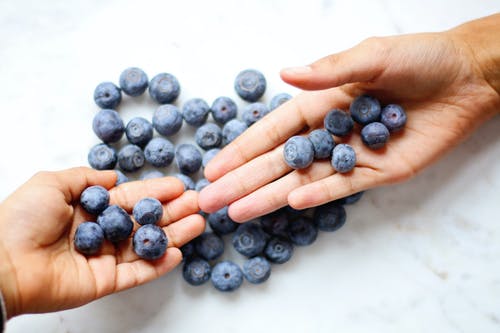 两人的手与顶部的蓝莓 · 免费素材图片