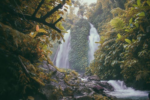 绿树环绕的瀑布照片 · 免费素材图片