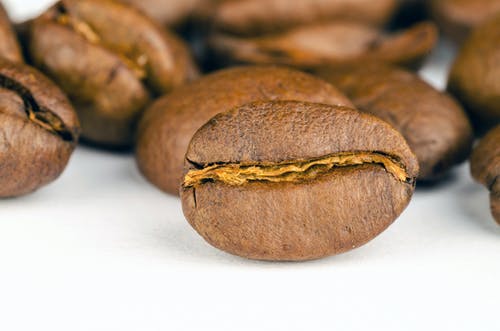 棕色咖啡豆很多 · 免费素材图片