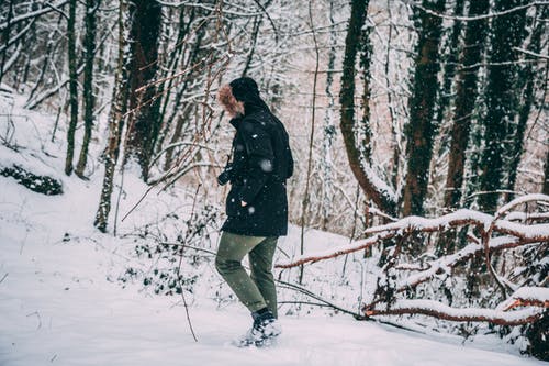 一个人在白雪皑皑的丛林中的照片 · 免费素材图片