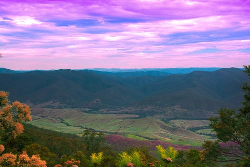 绿山覆盖的航拍照片 · 免费素材图片