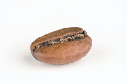 椭圆形棕色石头 · 免费素材图片
