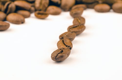 堆咖啡豆 · 免费素材图片
