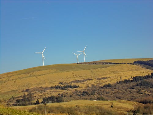 蓝蓝的天空下的绿色领域上的三个白色风车 · 免费素材图片