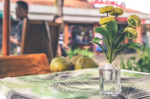 桌上的花瓶中的黄色插花 · 免费素材图片