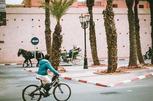 蓝色外套 · 免费素材图片