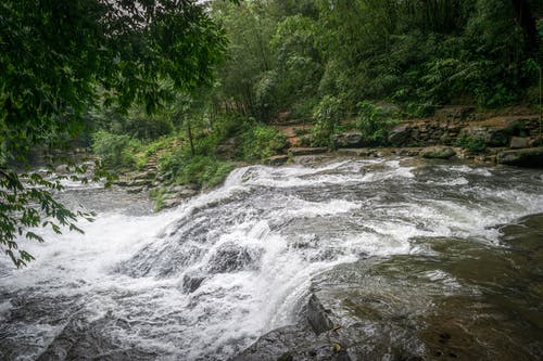 河在森林里的风景摄影 · 免费素材图片