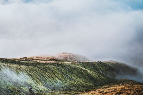 绿山覆盖着雾 · 免费素材图片