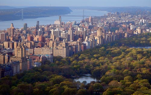 纽约中央公园 · 免费素材图片