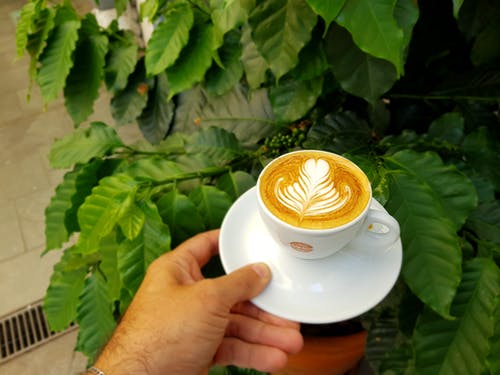 有关一杯咖啡, 卡布奇诺, 咖啡的免费素材图片