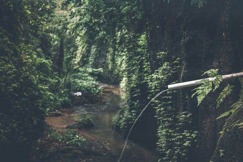 的照片河 · 免费素材图片