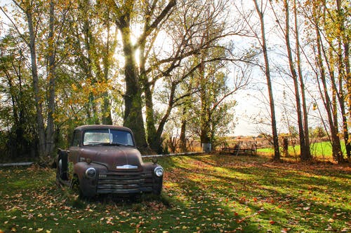经典棕色单驾驶室皮卡车停在高大的树木旁边 · 免费素材图片