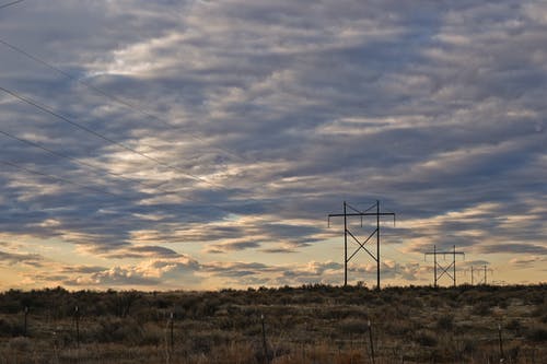 绿草地 · 免费素材图片