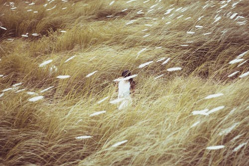 女人穿着白色的衣服站在草中间 · 免费素材图片