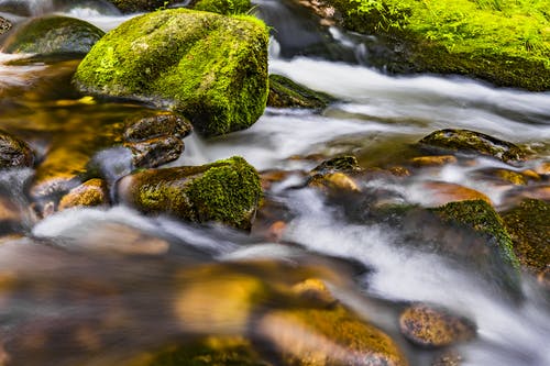 水和绿色石头的特写照片身体 · 免费素材图片