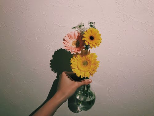 持有透明玻璃花瓶与花的人 · 免费素材图片