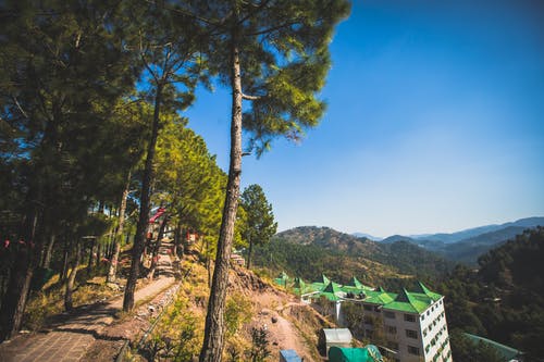 大楼旁树木旁的路 · 免费素材图片